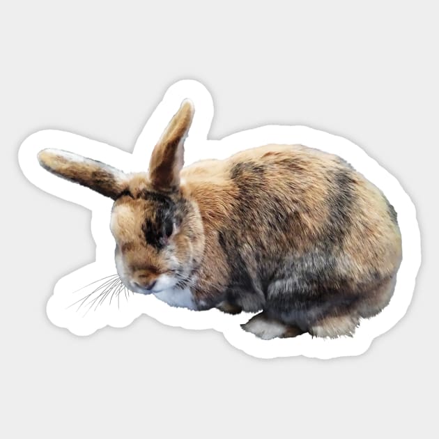Brown and Tan Rabbit Sticker by SusanSavad